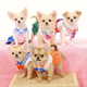 Illustration for article titled Small Dogs Cosplaying as emSailor Moon/em Characters